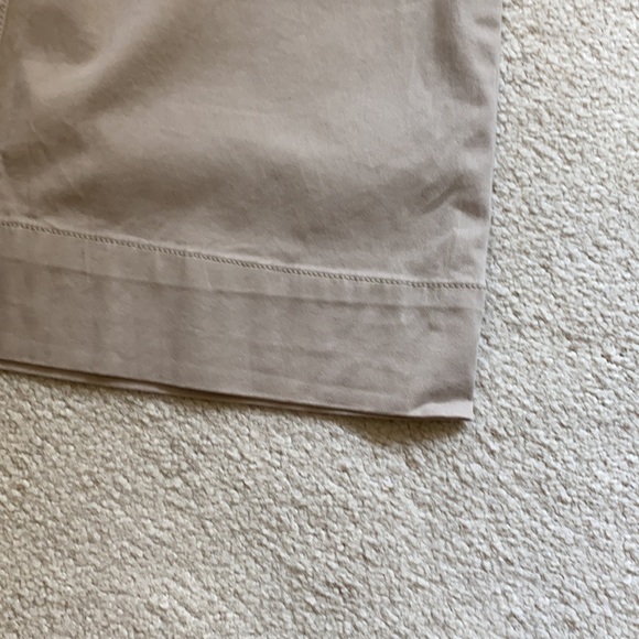 The Limited Pants - Picture 2 of 8